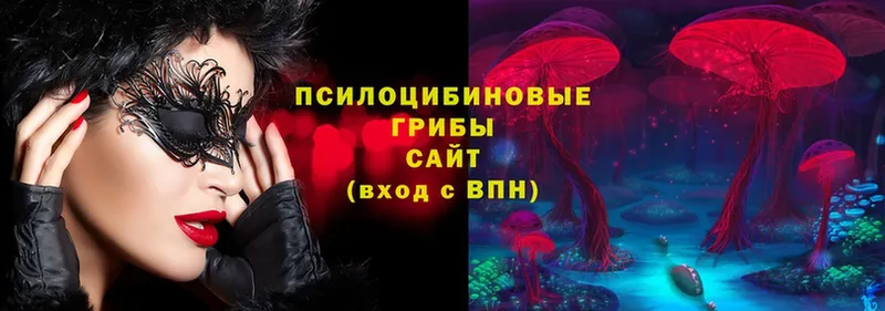 это официальный сайт  Тюкалинск  Псилоцибиновые грибы Magic Shrooms  наркотики 